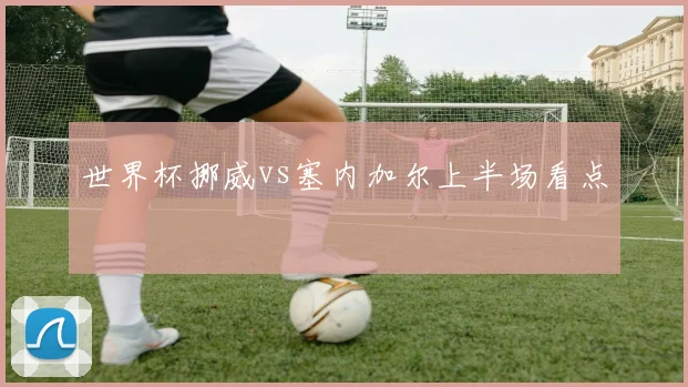 世界杯挪威vs塞内加尔上半场看点