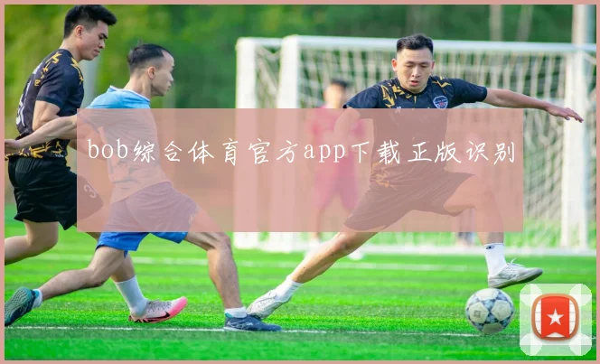 bob综合体育官方app下载正版识别
