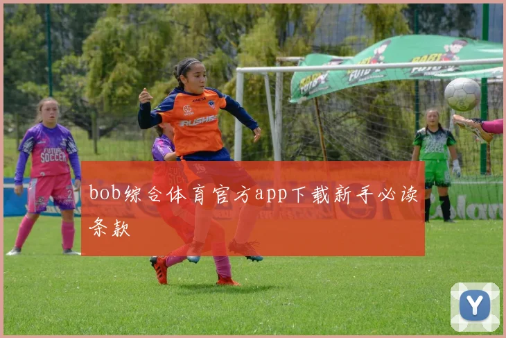bob综合体育官方app下载新手必读条款