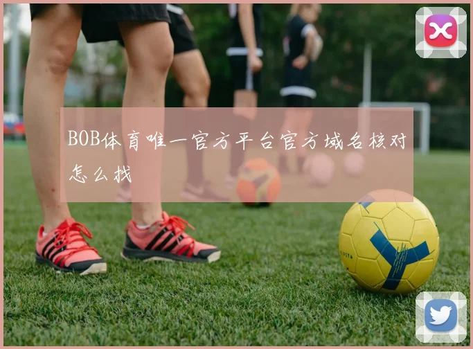BOB体育唯一官方平台官方域名核对怎么找
