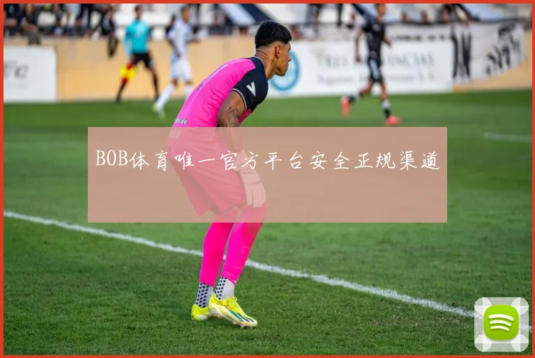 BOB体育唯一官方平台安全正规渠道