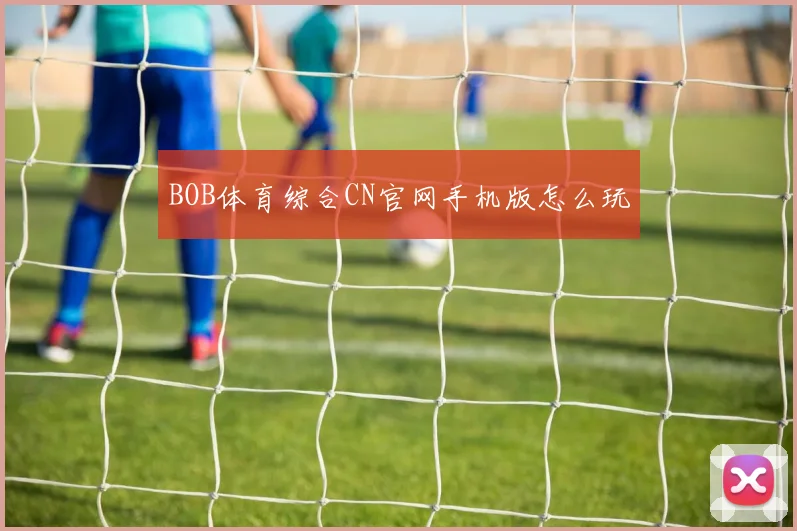 BOB体育综合CN官网手机版怎么玩