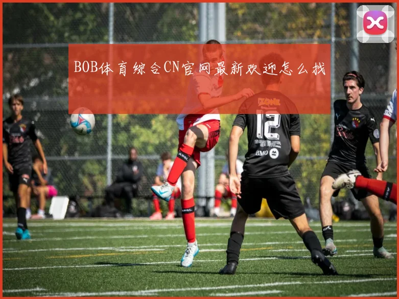 BOB体育综合CN官网最新欢迎怎么找