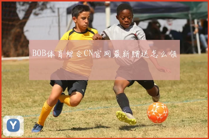 BOB体育综合CN官网最新赠送怎么领
